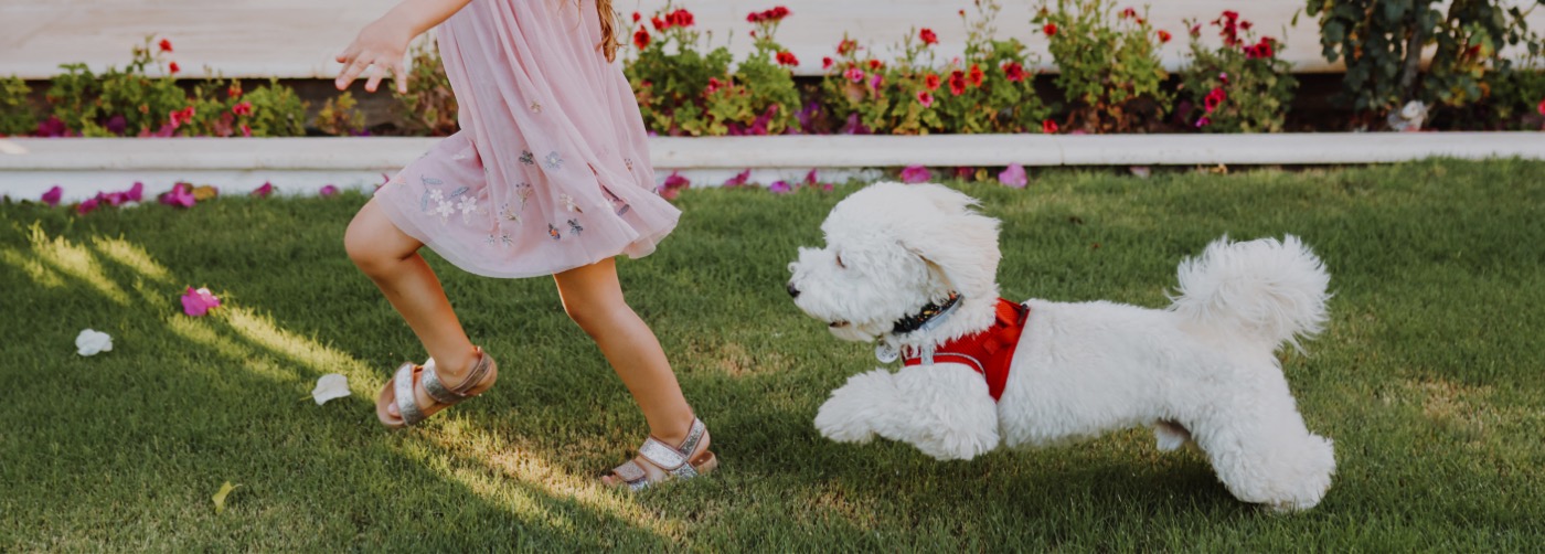 DogWatch of Northern Florida, Havana, Florida | Outdoor Hidden Dog Fences Slider Image